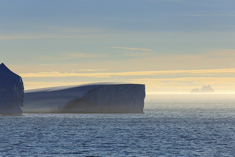 Icebergs and sea mist, entrance to Skjoldungen Fjord, early morning, King Frederick VI Coast, remote South East Greenland, Denmark, Polar Regions