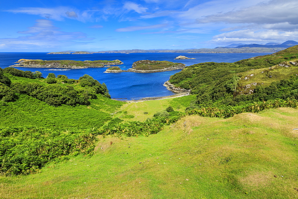 Fields by sea in Eddrachillis Bay, Scotland, Europe