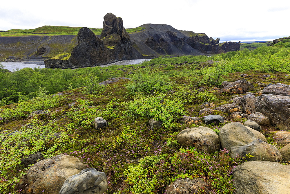 Field by basalt rock formations in Vatnajokull National Park, Iceland, Europe