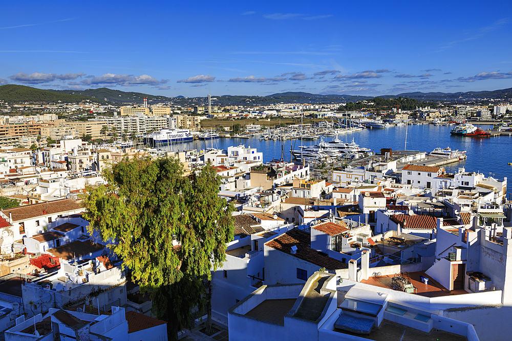 Historic whitewashed old town and harbour, from Dalt Vila, Ibiza Town, Eivissa, Balearic Islands, Spain, Mediterranean, Europe