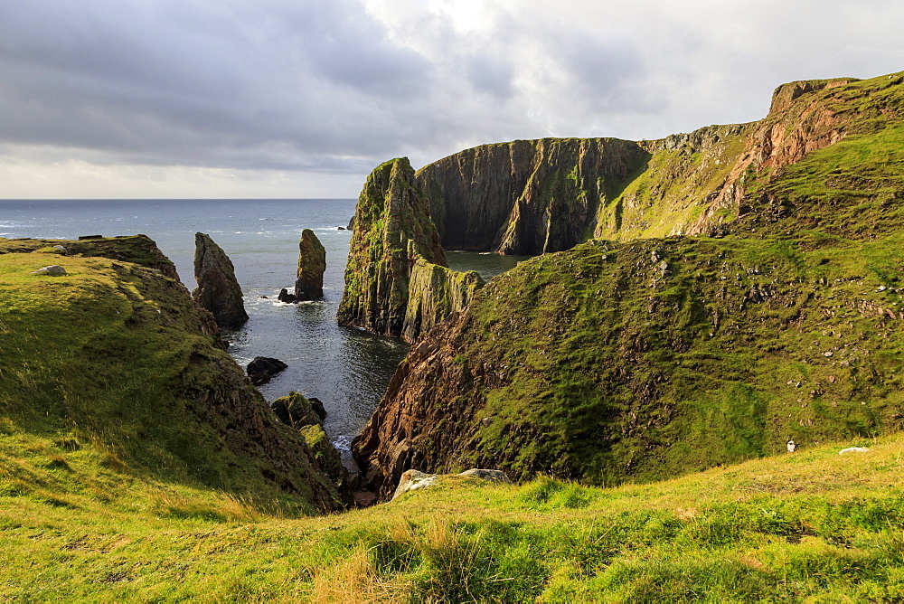 Westerwick, dramatic coastal views, red granite sea cliffs and stacks, West Mainland, Shetland Isles, Scotland, United Kingdom, Europe