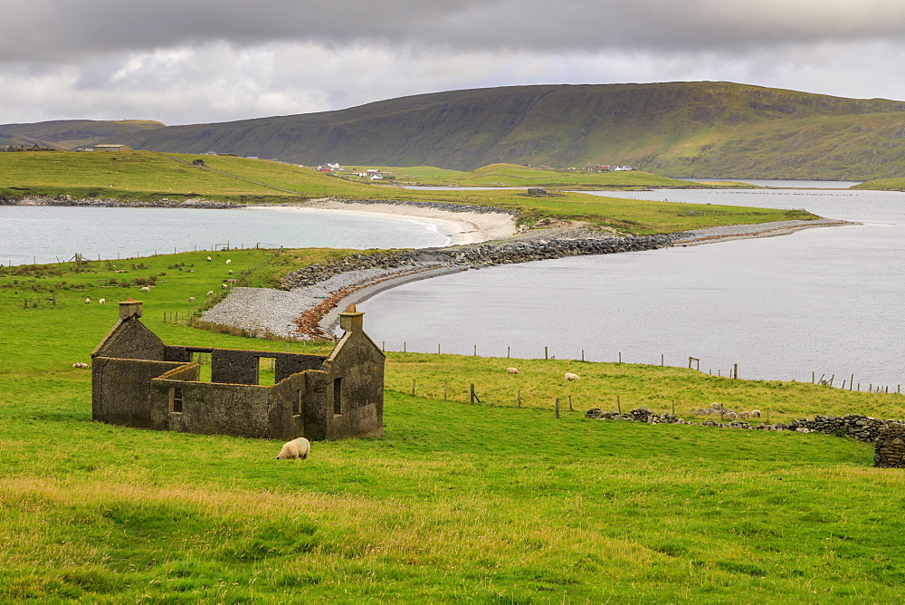 Minn Beach, ruined crofthouse, Banna Minn, tombolo, Papil, West Burra Island, view to East Burra, Shetland Isles, Scotland, United Kingdom, Europe