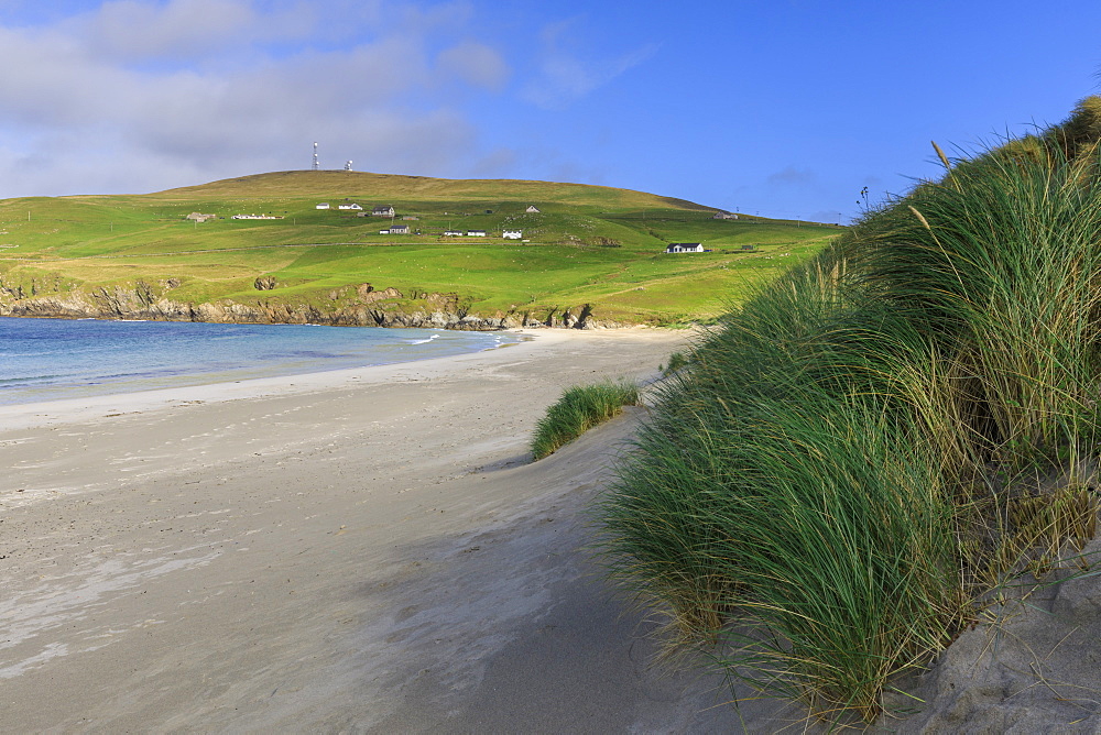 Scousburgh Sands, Spiggie Beach, white sand, turquoise sea, South Mainland, Shetland Isles, Scotland, United Kingdom, Europe