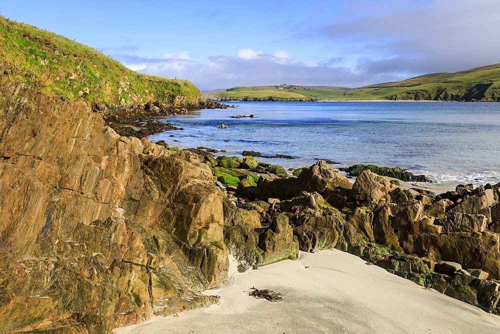 Scousburgh Sands, Spiggie Beach, white sand, turquoise sea, common seals on rocks, South Mainland, Shetland Isles, Scotland, United Kingdom, Europe