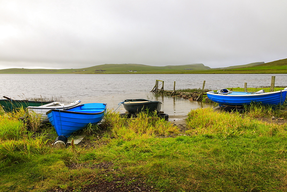 Spiggie Loch, colourful rowing boats on the shore, Scousburgh, South Mainland, Shetland Isles, Scotland, United Kingdom, Europe