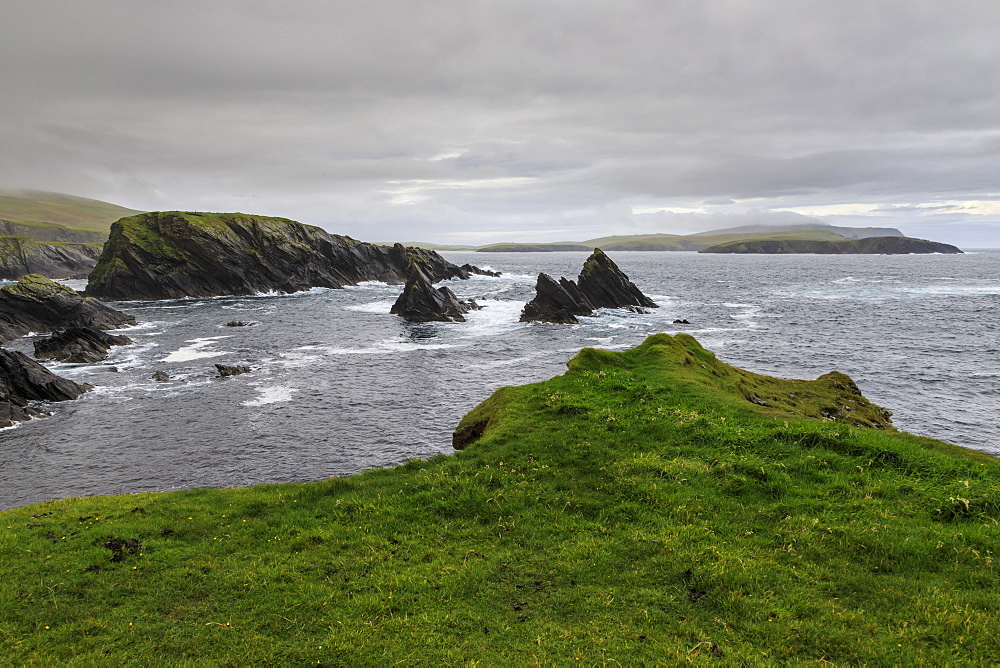 Coastal scenery, jagged cliffs and stacks, misty hills, St. Ninian's Isle, Bigton, South Mainland, Shetland Isles, Scotland, United Kingdom, Europe