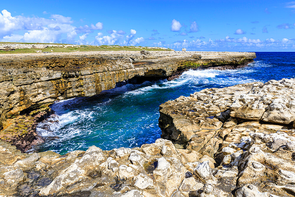 Devil's Bridge, geological limestone rock formation and arch, Willikies, Antigua, Antigua and Barbuda, Leeward Islands, West Indies, Caribbean, Central America