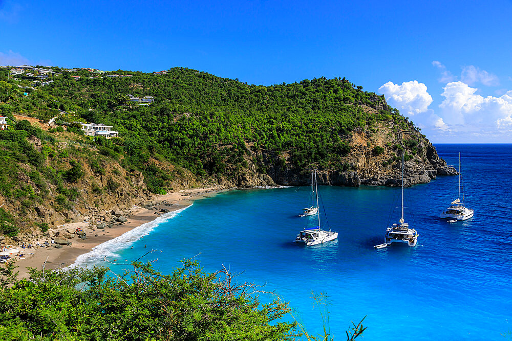 Shell Beach, yachts anchored in turquoise bay, elevated view, Gustavia, St. Barthelemy (St. Barts) (St. Barth), West Indies, Caribbean, Central America