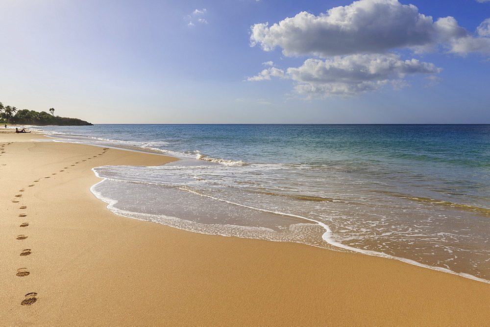 Tropical Anse de la Perle beach, sunbather, golden sand, footprints, Death In Paradise location, Deshaies, Guadeloupe, Leeward Islands, West Indies, Caribbean, Central America