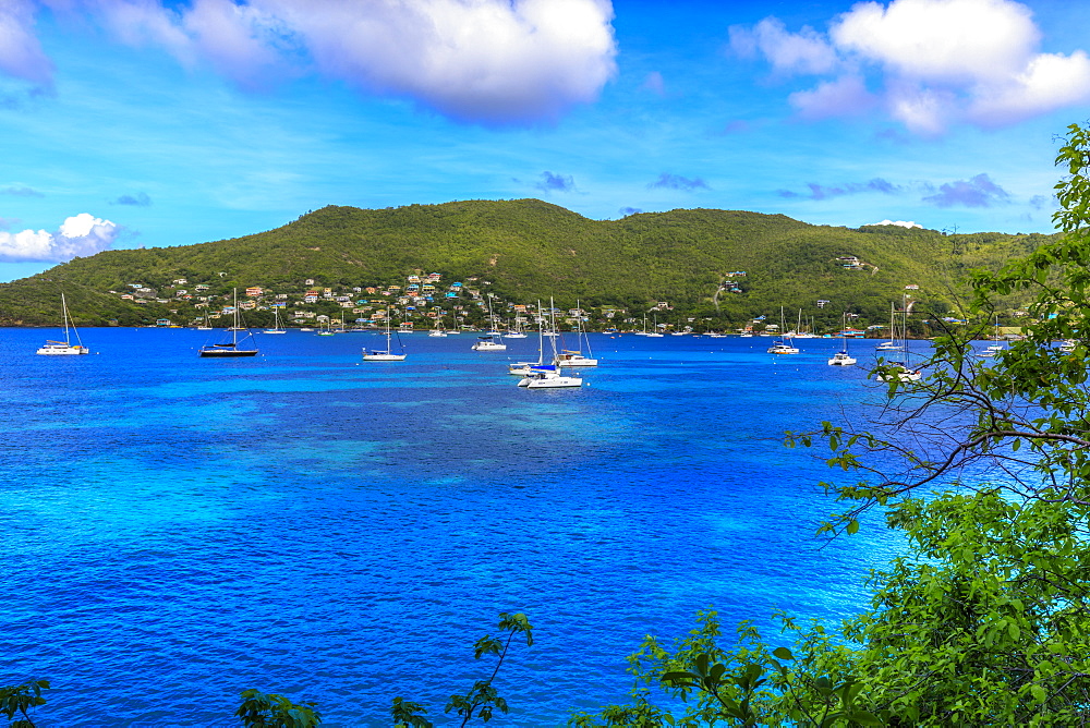 Quiet Caribbean, beautiful Port Elizabeth, Admiralty Bay, Bequia, The Grenadines, St. Vincent and the Grenadines, Windward Islands, West Indies, Caribbean, Central America