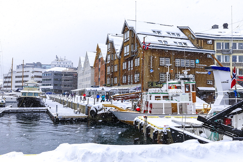 Tromso small boat harbour, heavy snow in winter, Tromso, Troms og Finnmark, Arctic Circle, North Norway, Scandinavia, Europe