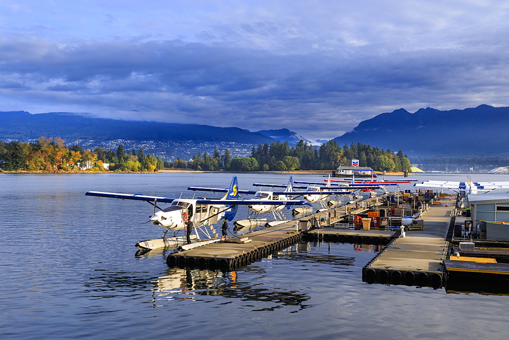 Seaplanes at Canada Place and Stanley Park, autumn, early morning light, Downtown, Vancouver City, British Columbia, Canada, North America