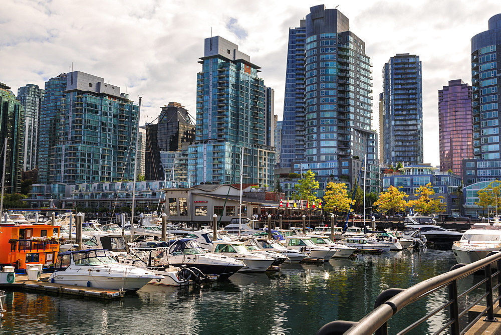 Marina at Coal Harbour, with leisure craft and house boats, city skyline, Vancouver, British Columbia, Canada, North America