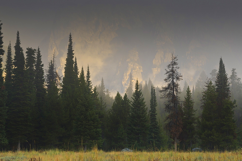 Hazy Teton Range and pine trees near Phelps Lake, Grand Teton National Park, Wyoming, United States of America, North America