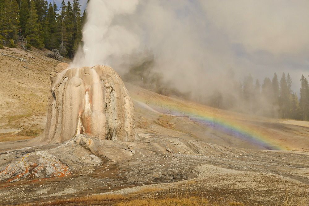 Lone Star Geyser erupts and creates rainbow, Yellowstone National Park, UNESCO World Heritage Site, Wyoming, United States of America, North America