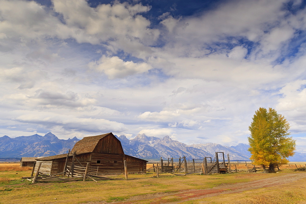 Mormon Row barn with Teton Range in autumn (fall), Antelope Flats, Grand Teton National Park, Wyoming, United States of America, North America