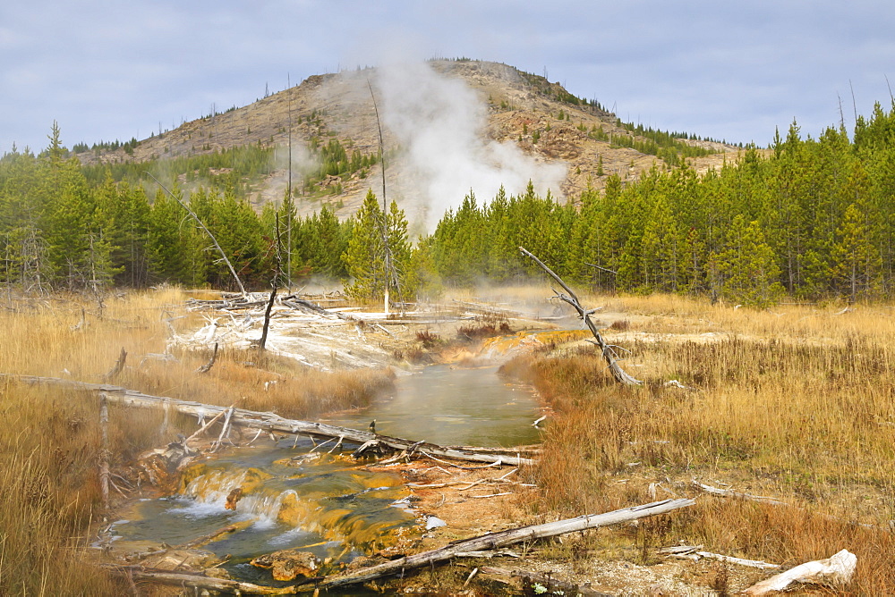 Midway Geyser Basin thermal activity from the Fairy Creek Trail, Yellowstone National Park, UNESCO World Heritage Site, Wyoming, United States of America, North America