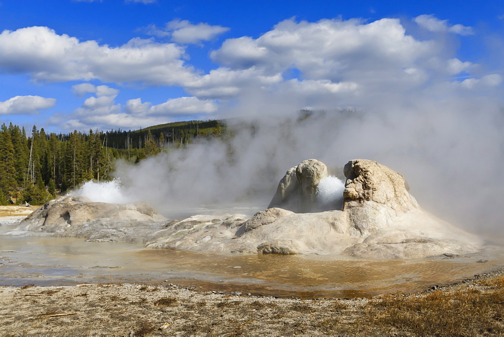 Rocket and Grotto cone geysers erupt, Upper Geyser Basin, Yellowstone National Park, UNESCO World Heritage Site, Wyoming, United States of America, North America