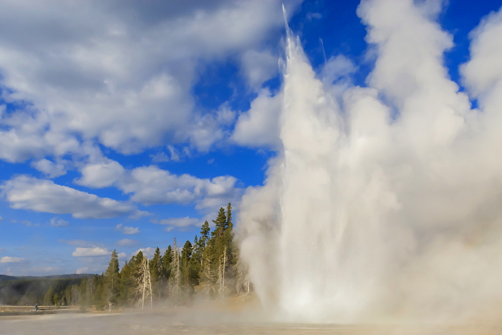 Lone observer watches Grand Geyser erupt, Upper Geyser Basin, Yellowstone National Park, UNESCO World Heritage Site, Wyoming, United States of America, North America