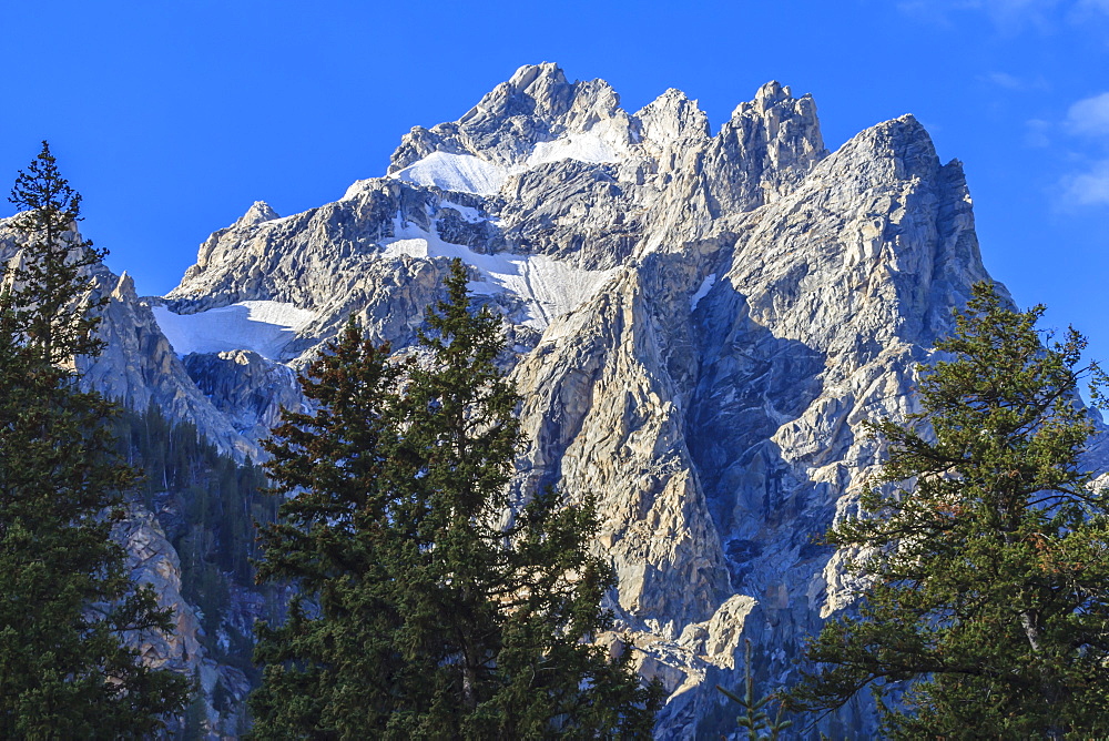 Mount Owen and pines from Cascade Canyon, Grand Teton National Park, Wyoming, United States of America, North America