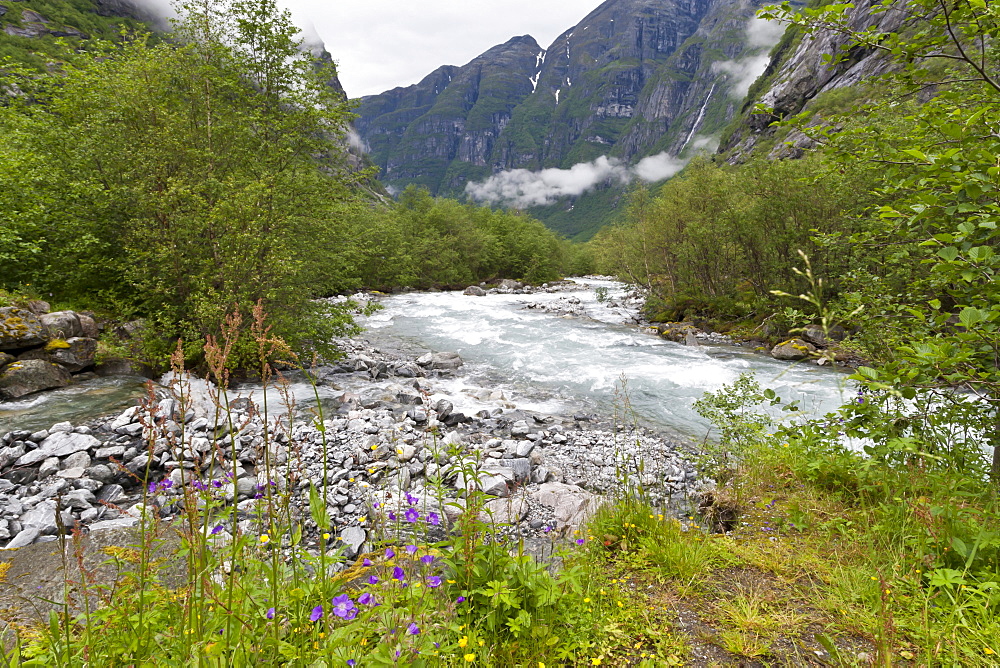 Roaring river, wildflowers and mountains, Lodal Valley near Kjenndalen Glacier, Loen, Norway, Scandinavia, Europe