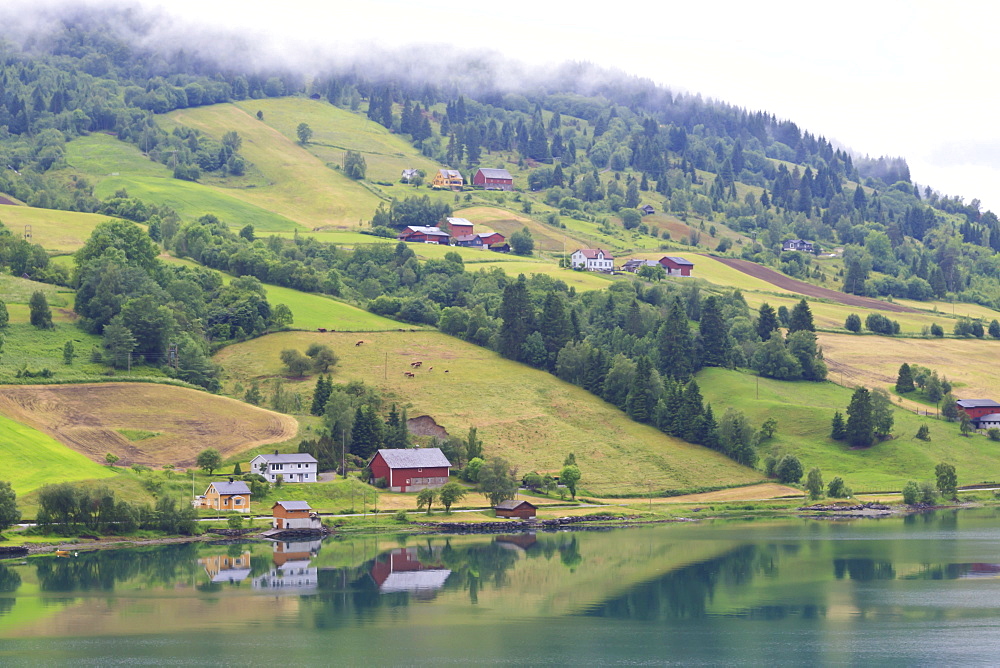 Fjordside houses and wooded hills with low cloud, Nordfjord, Olden, Norway, Scandinavia, Europe