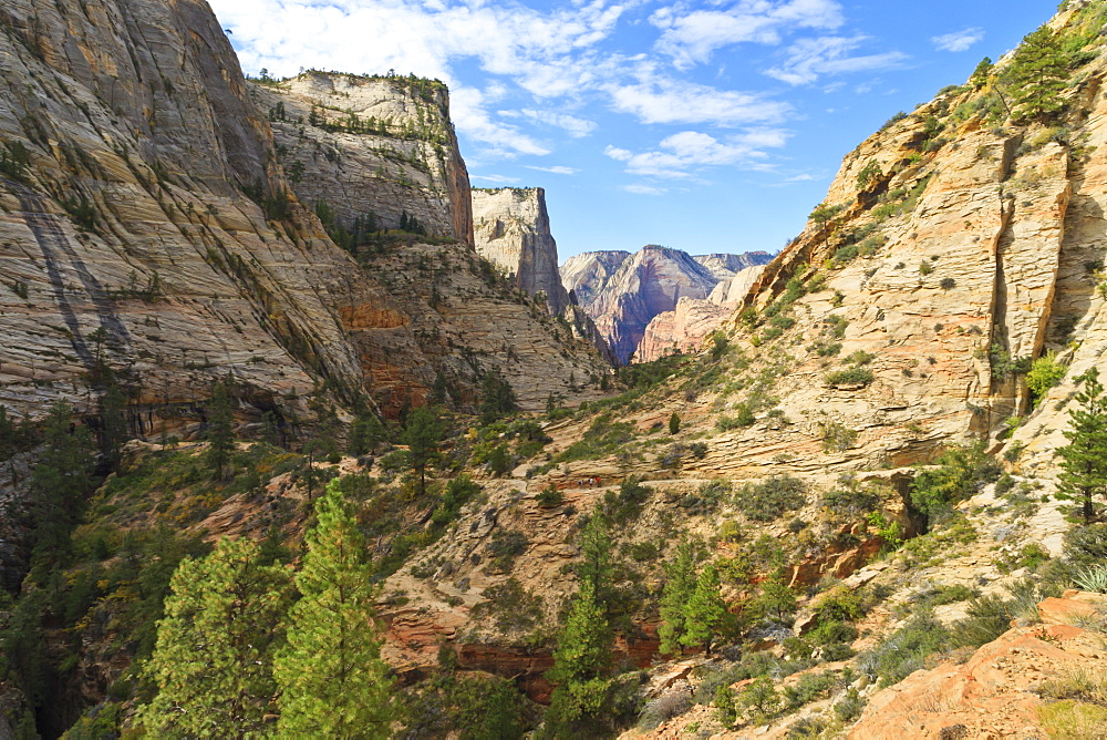 Rock forms above Echo Canyon, morning on the trail to Observation Point, October, Zion Canyon, Zion National Park, Utah, United States of America, North America