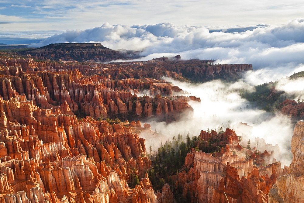 Pinnacles and hoodoos with fog extending into clouds of a partial temperature inversion, Bryce Canyon National Park, Utah, United States of America, North America