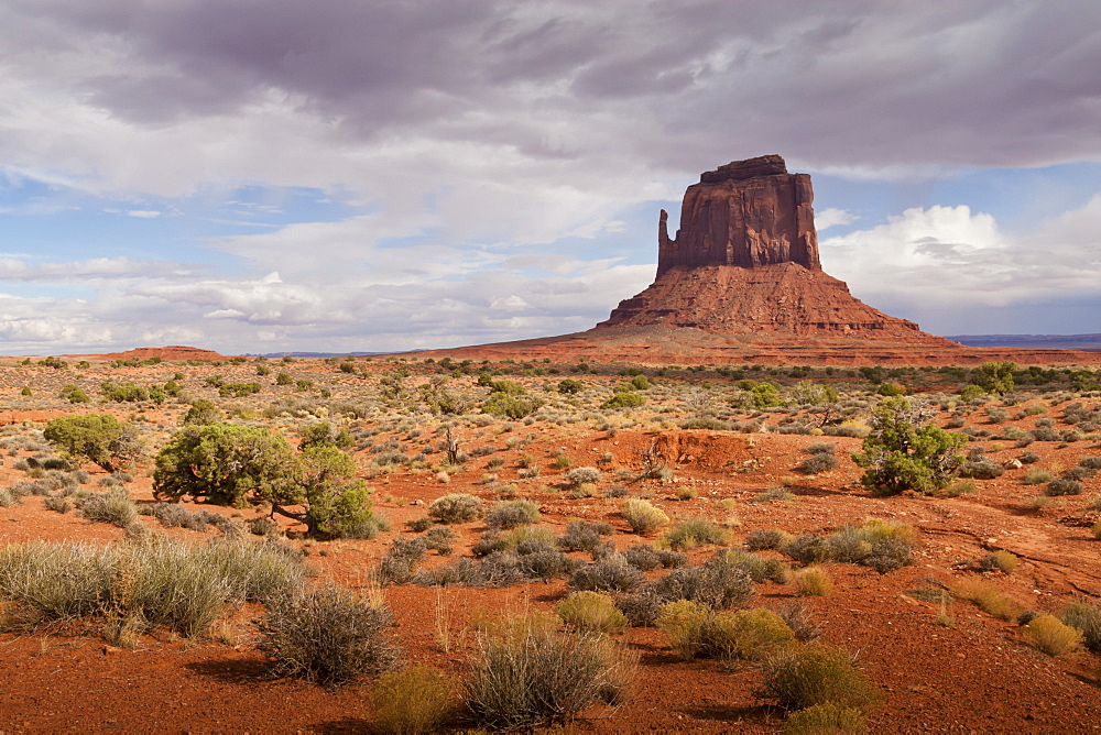 Mitten from the desert floor, late afternoon, Monument Valley Navajo Tribal Park, Utah Arizona border, United States of America, North America