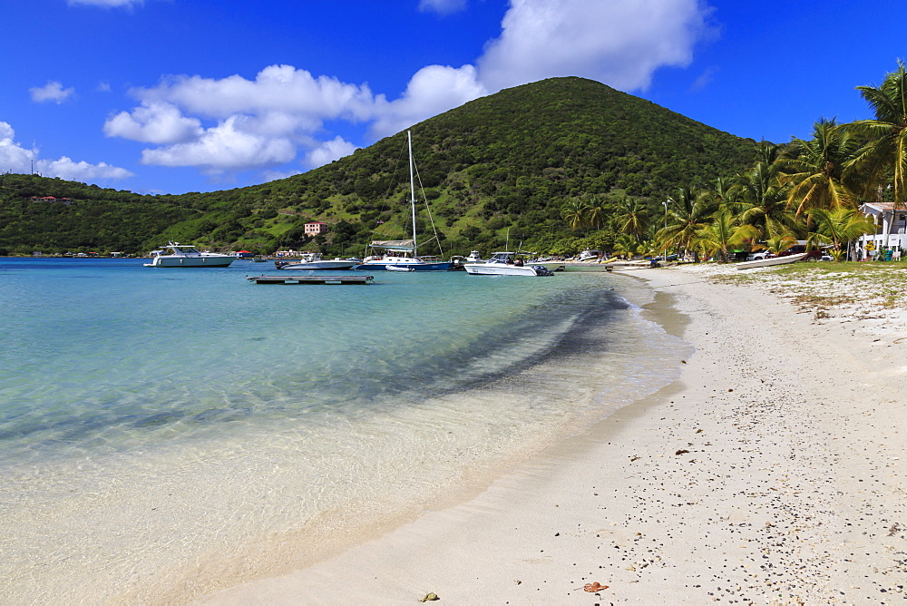 Beach, green hills and yachts, Great Harbour, Jost Van Dyke, British Virgin Islands, West Indies, Caribbean, Central America