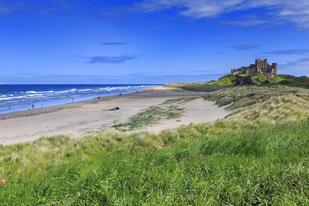 Bamburgh Castle across the dunes, early summer afternoon, Northumberland, England, United Kingdom, Europe