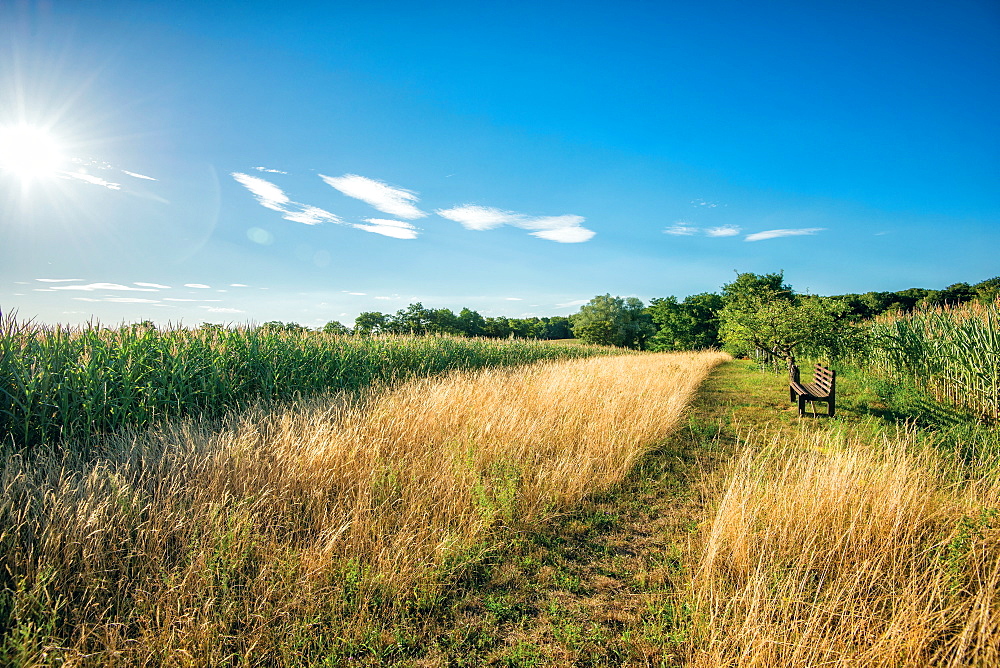 HDR capture of a secluded spot in the hills, with a wooden bench facing fields and a blue sky, Baden-Wurttemberg, Germany, Europe