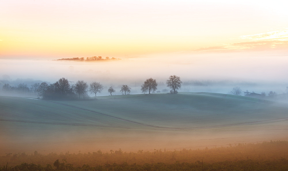 Layers of thick fog wafting across the rolling hills of Kraichgau region shortly after sunrise, Baden-Wurttemberg, Germany, Europe