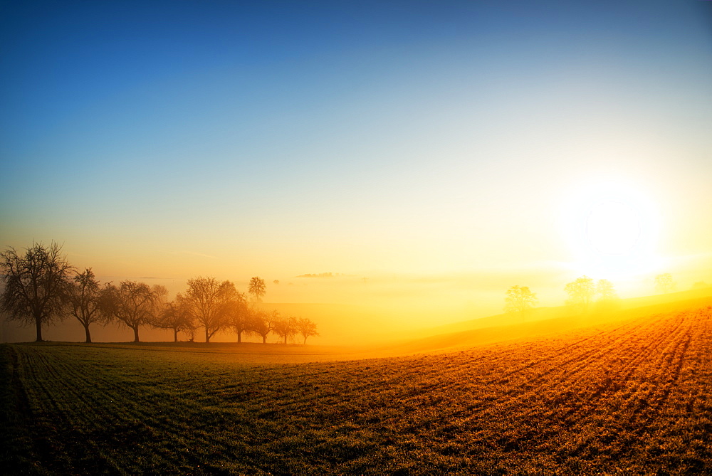 Warm morning sun illuminating dense fog in a colorful rural landscape scene, Baden-Wurttemberg, Germany, Europe