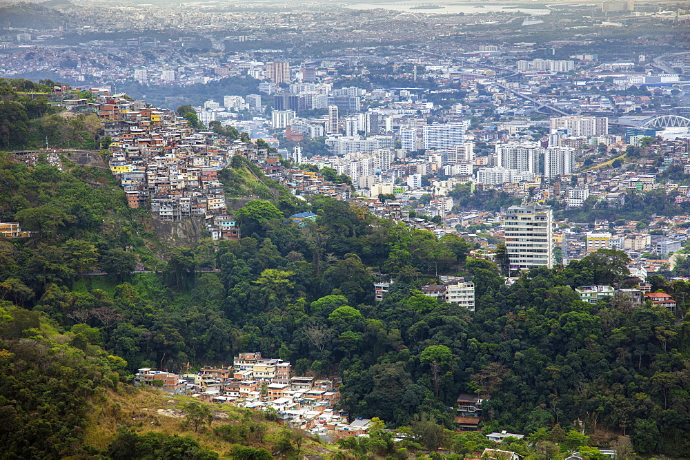 Elevated view of a favela slum on the edge of Tijuca forest, Rio de Janeiro, Brazil, South America