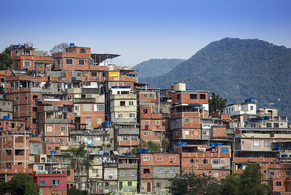 View of houses in the Cantagalo favela slum in Rio de Janeiro with the mountains of Tijuca National Park in the background, Rio de Janeiro, Brazil, South America