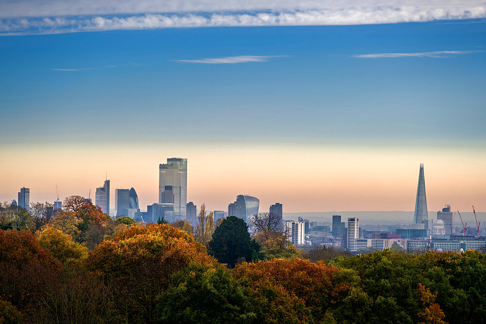 Woodland on Hampstead Heath in autumn, and City of London financial district skyline, Highgate, London, England, United Kingdom, Europe