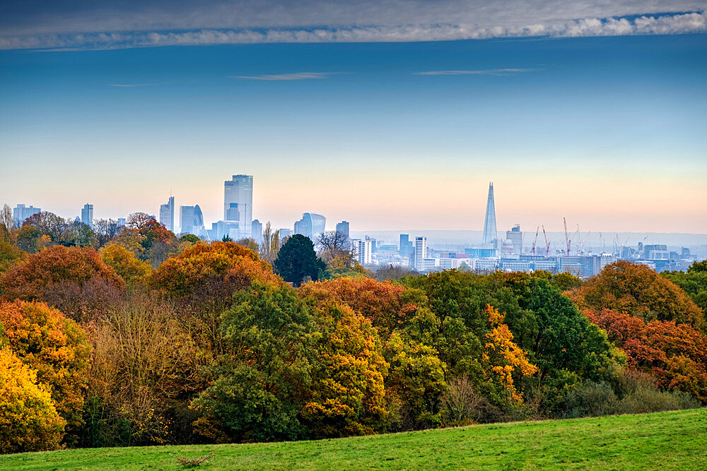 Woodland on Hampstead Heath in autumn, and City of London financial district skyline, Highgate, London, England, United Kingdom, Europe