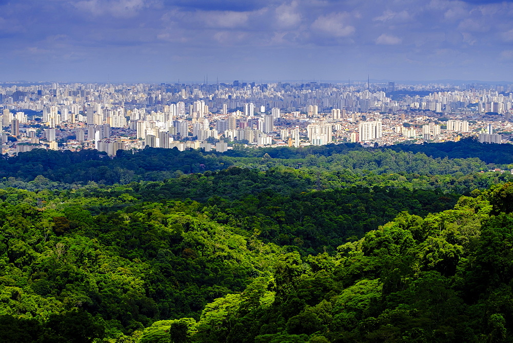 Central Sao Paulo from the rainforest of the Serra da Cantareira State Park, Brazil, South America