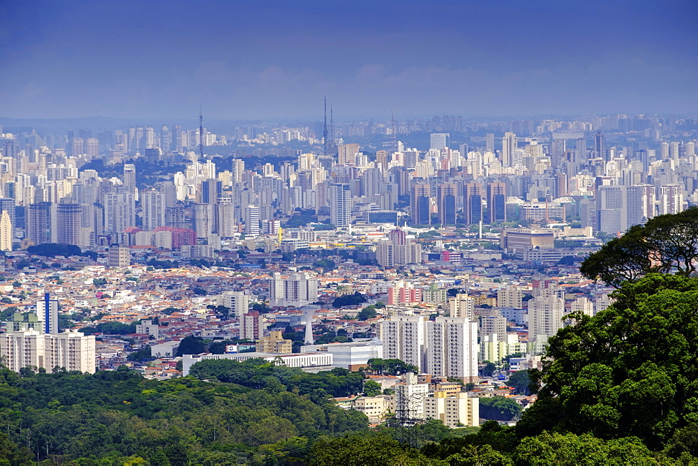 Central Sao Paulo from the rainforest of the Serra da Cantareira State Park, Sao Paulo, Brazil, South America