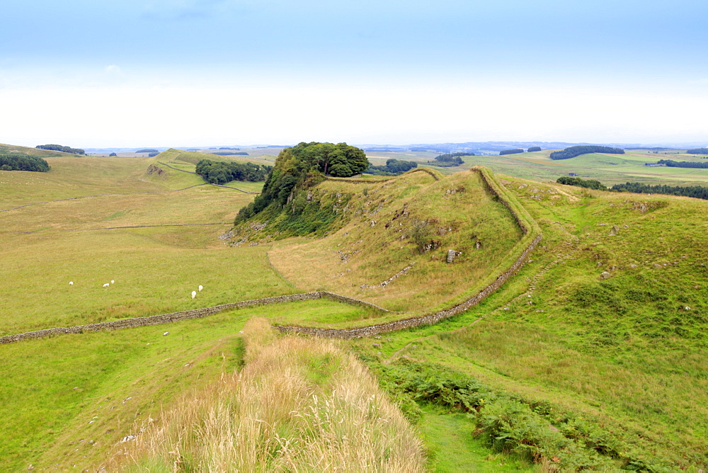 Hadrian's Wall UNESCO World Heritage Site, Northumberland, England, United Kingdom, Europe