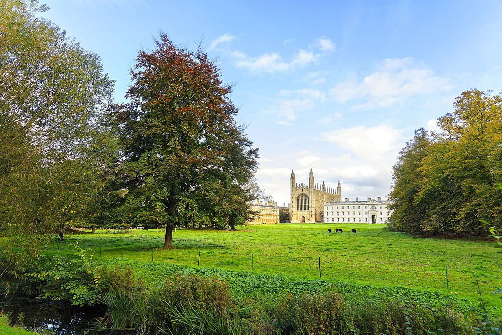 King's College Chapel from the Backs, Cambridge University, Cambridge, Cambridgeshire, England, United Kingdom, Europe