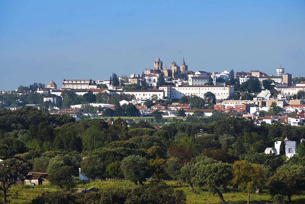 View of Evora city with cork oak fields in the foreground, Evora, Alentejo, Portugal, Europe