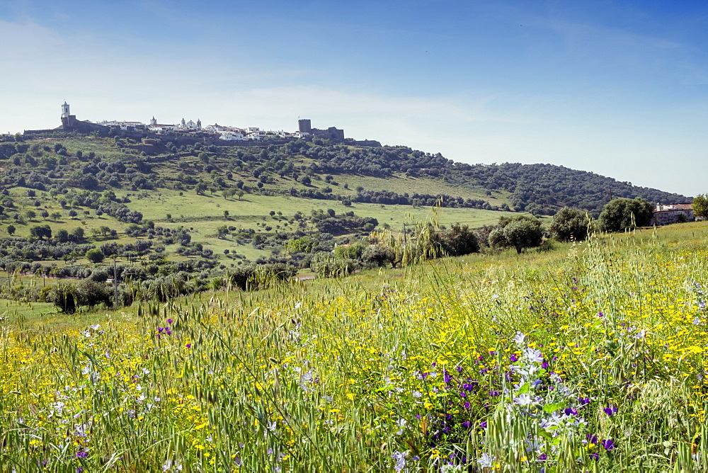 Monsaraz village and castle, Alentejo, Portugal, Europe