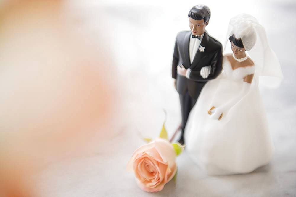 Close up of bride and groom wedding cake topper