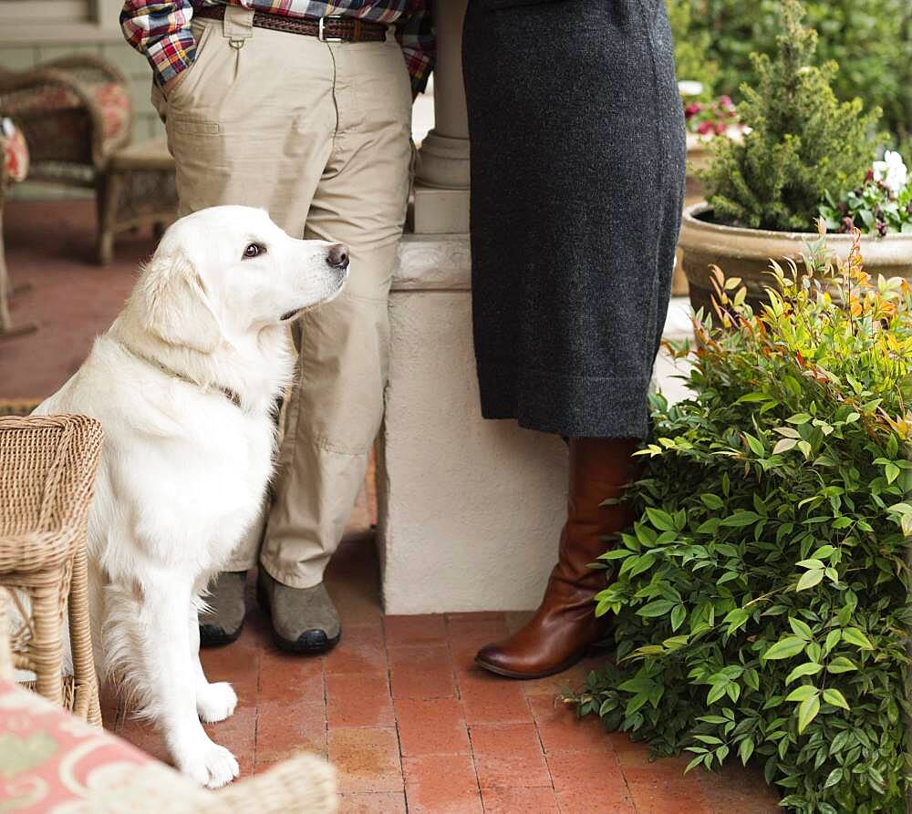 Caucasian couple and dog on patio