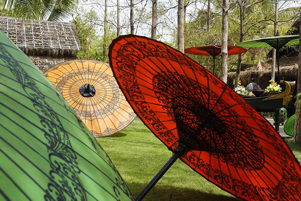 Traditional parasols in backyard