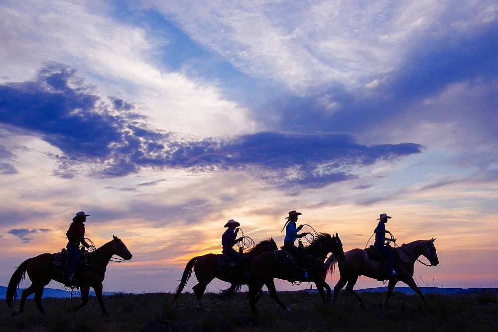 Cowgirls and cowboy riding horses in rural field