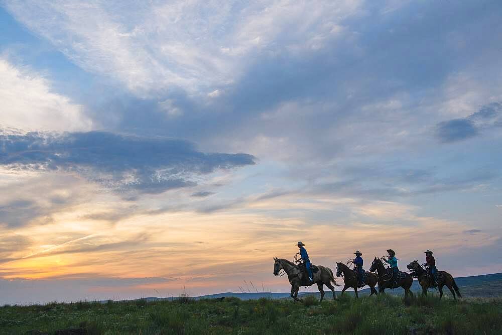 Cowgirls and cowboy riding horses in rural field