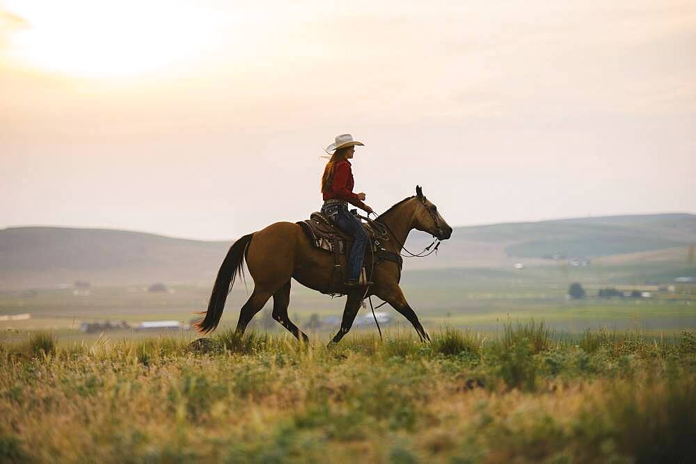 Caucasian cowgirl riding horse in rural field